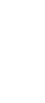 টিম উপাদান